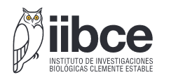 IIBCE IIBCE